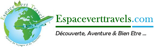 Espaceverttravels logo
